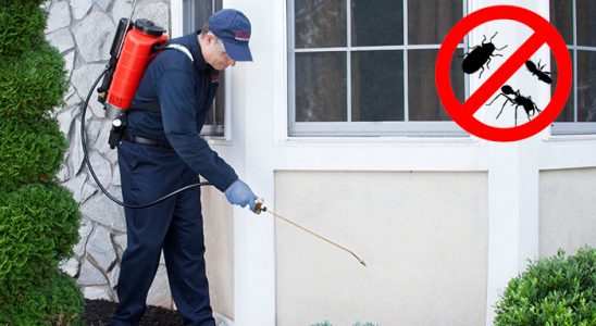 Üçyol Dezenfeksiyon böcek ilaçlama ve haşere kontrolü — ilaclama-tr.com